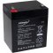 Powery Bly-Gel-Batteri till APC RBC20 5Ah 12V