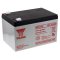 YUASA blybatteri NP12-12 Vds