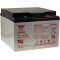 YUASA blybatteri NP24-12I Vds