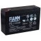 FIAMM blybatteri FG11202 Vds