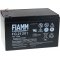 FIAMM blybatteri FG21202 Vds