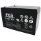 FGS FG21201 blybatteri 12V 12Ah