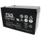 FGS FG21202 blybatteri 12V 12Ah