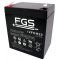 Batteri till Skadedjursbekmpning FGS 12FGH23 High Rate 12V 5Ah