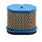 Briggs & Stratton LuftFilter 690610 /498596 (NGP498596)