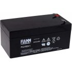 FIAMM Blybatteri FG20341