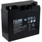 FIAMM blybatteri FGH21803 12FGH65 (High Ratte) FIAMM blybatteri FGH21803 12FGH65 (High Ratte)