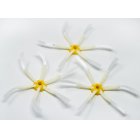 3x6- Arm Sidebørstär Ersättningsbatteribørstär till iRobot Roomba 500/600/700 serie 3x6- Arm Sidebørstär Ersättningsbatteribørstär till iRobot Roomba 500/600/700 serie