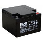 FIAMM blybatteri FG22705 12V 27Ah