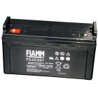 FIAMM blybatteri FG2C007 12V 120Ah