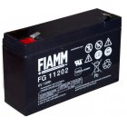 Batteri FG11202 6V 12Ah