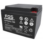 Batteri till Skadedjursbekämpning FGS 12FGHL100 High Rate Longlife 12V 24Ah